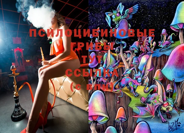 прущий лед Аркадак